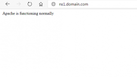 ns2.domain.png