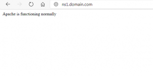 ns1.domain.png