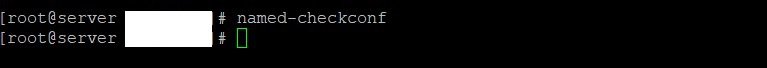 dns2.jpg