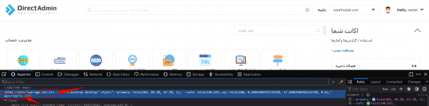 rtl and ltr in directadmin skin.png