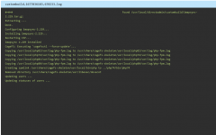 server-da-direct-View.png