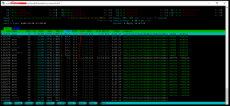 Htop_DirectAdmin_process.PNG Htop_DirectAdmin_process.PNG