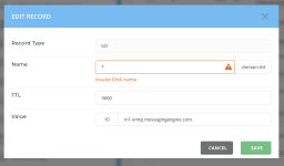 edit record modal showing the invalid dns name error