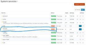 System Services.jpg