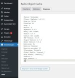 plugin diagnose ok.jpg