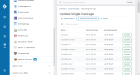 php scripts Update Single Package 8-17-26.png