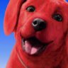 Dr. Reddog