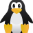 vpsgeek